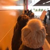 初売りを舐めてたの画像