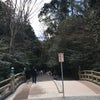 伊勢神宮（外宮）とーちゃくの画像