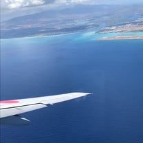 ブログ投稿画像