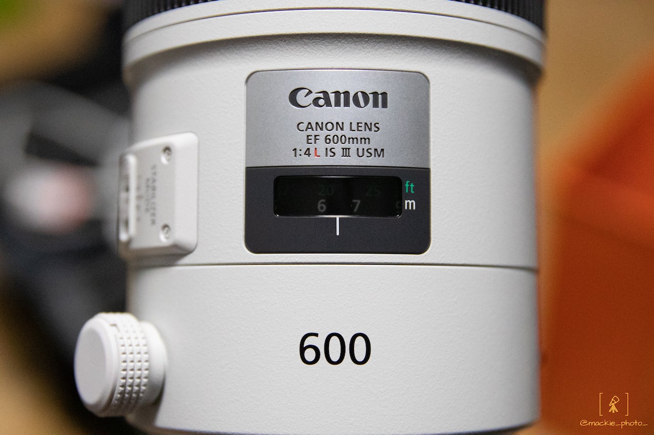 Canon EF600mm F4L IS III USM | アマチュア写真家まっきーのフォトブログ