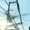 ☆ 1週間の始まり始まり～ ☆の画像