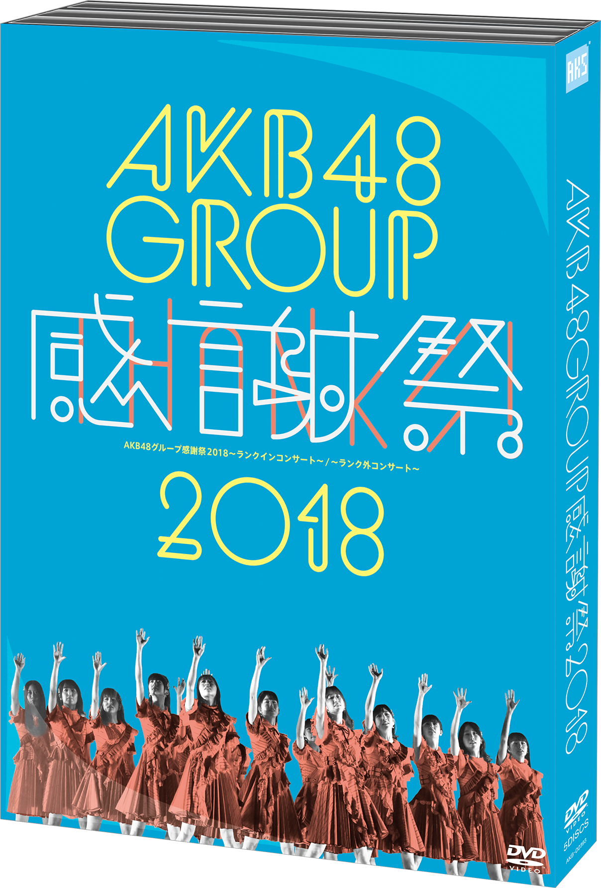 AKB48グループリクエストアワー セットリストベスト100 2019 グッズ/生