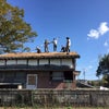 秋の休日の画像