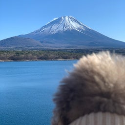 画像 新年は富士山の麓で過ごしました の記事より 14つ目