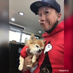 画像 成人式からの〜　縮毛矯正の日々スタートです の記事より 2つ目