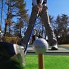 死闘、あきらめない。の画像