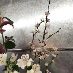 画像 桜の頃 の記事より 1つ目