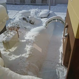 画像 今日は雪が凄い の記事より 1つ目