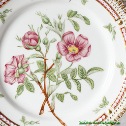 画像 なんと！10作品9名様分の＜西洋の植物画＞シリーズ ♪＜◆生徒様作品集◆＞ の記事より 23つ目