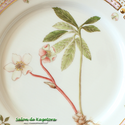 画像 なんと！10作品9名様分の＜西洋の植物画＞シリーズ ♪＜◆生徒様作品集◆＞ の記事より 2つ目