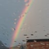 rainbowの画像