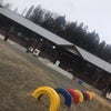 ピザの画像