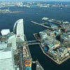 みなとみらいでの休日の画像