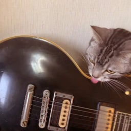 画像 ギターと猫 の記事より 3つ目
