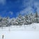 2月11日から15日ルスツへスキー