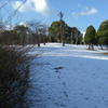 ２月１７日は雪の特異日の画像