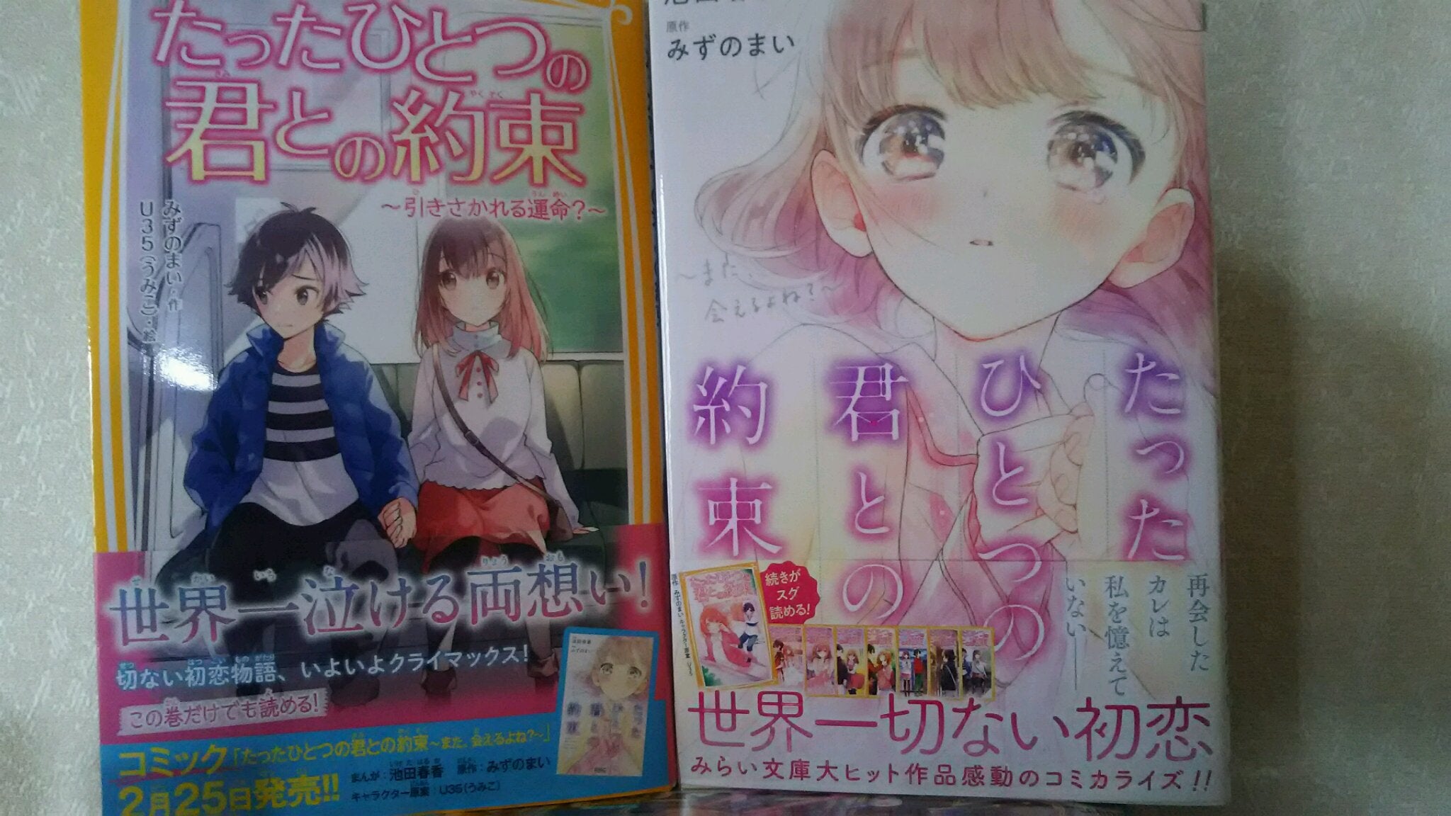 たったひとつの君との約束 小説 コミック同時発売 お願い フェアリー ないしょ話