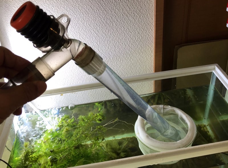 稚魚水槽の水替えに便利なグッズです Tomoのブログ