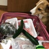 買い物カゴの画像