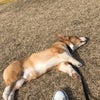 再会の画像