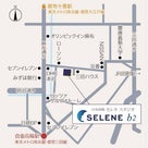 『タイテ更新』2019年3月17日 「SELENE SUPER LIVE 2019 vol.4」の記事より