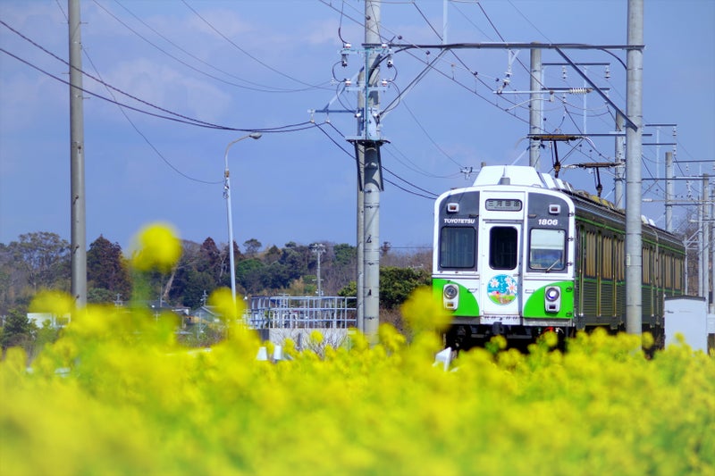 名古屋発の撮影スポット 愛知県田原市の鉄道と菜の花 3月上旬編 Tropicalisland0405の写真ブログ