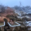 ロードトリップ中の温泉の画像