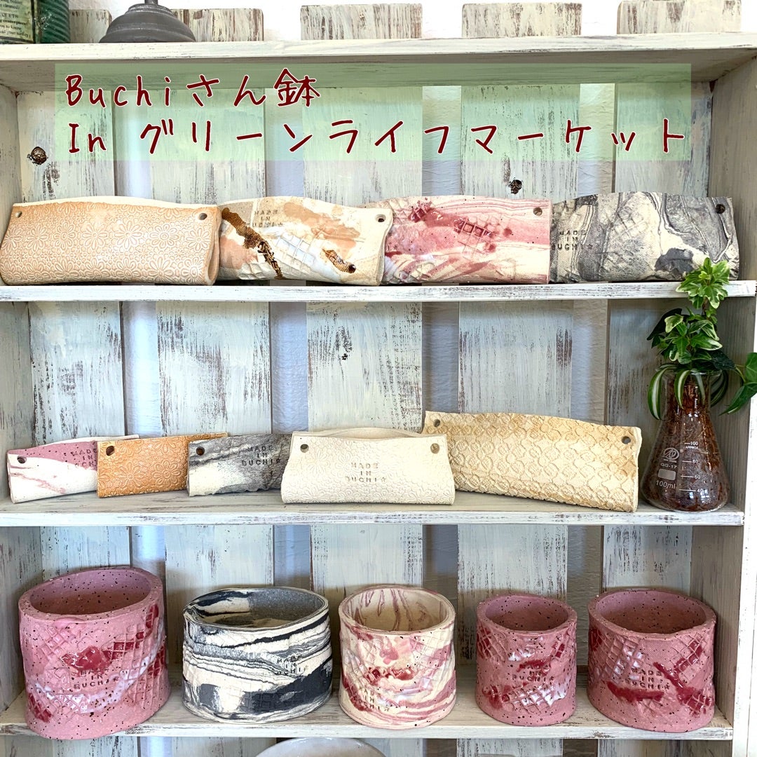 2作家さんの陶芸鉢 | コキリノSucculents Life