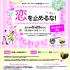 桜が咲くから、恋をしよう♡流山ライオンズクラブ主催・恋活パーティー5/25(土)に開催します！の画像