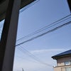 最近。の画像