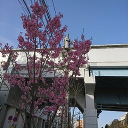 画像 春の足音が聞こえてくるようです の記事より 1つ目