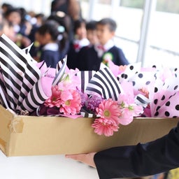 画像 幼稚園のお祝い花〜各種 の記事より 12つ目