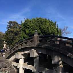 画像 春のお彼岸 鎌倉へ の記事より 5つ目