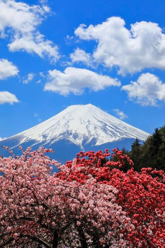 流れをつかみましょう！の記事画像