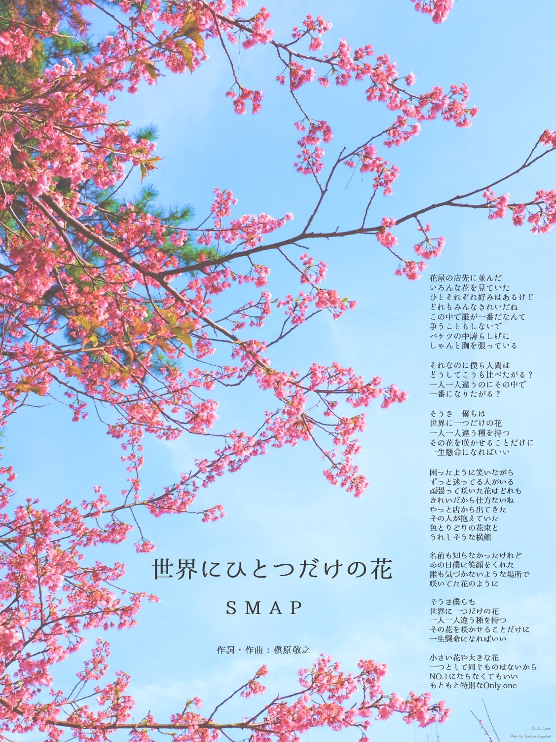 世界に一つだけの花 SMAP 歌詞画像＊Full歌詞＊Music Card Music Cards 音楽と言葉