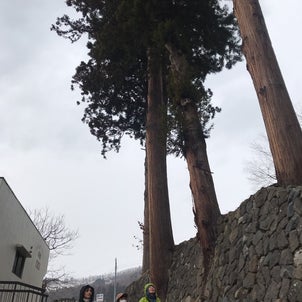 腰の画像