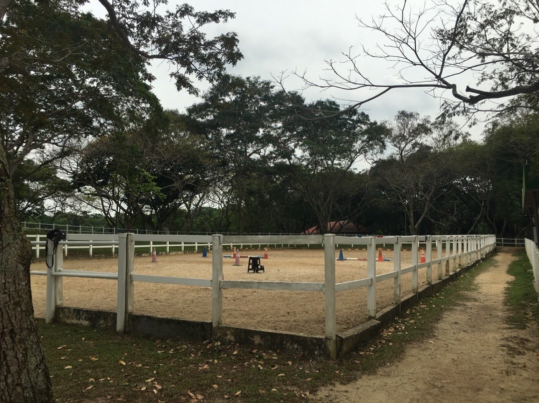乗馬クラブででポニーライド!チビ達大興奮 | シンガポール在住 乗馬クラブででポニーライド!チビ達大興奮 | シンガポール在住