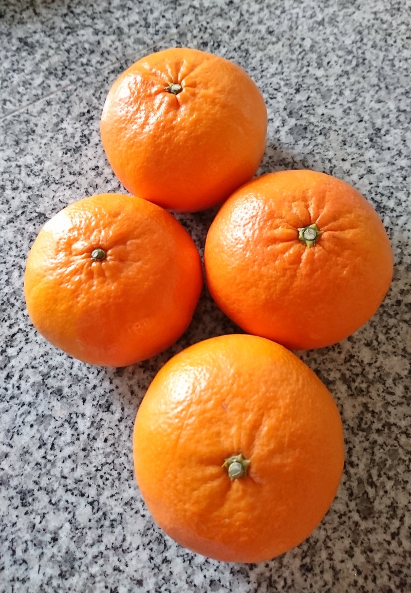 柑橘 は まさき