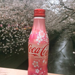 画像 目黒川 お花見日和♪♪ の記事より 3つ目