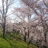 今日は大仏の日の画像