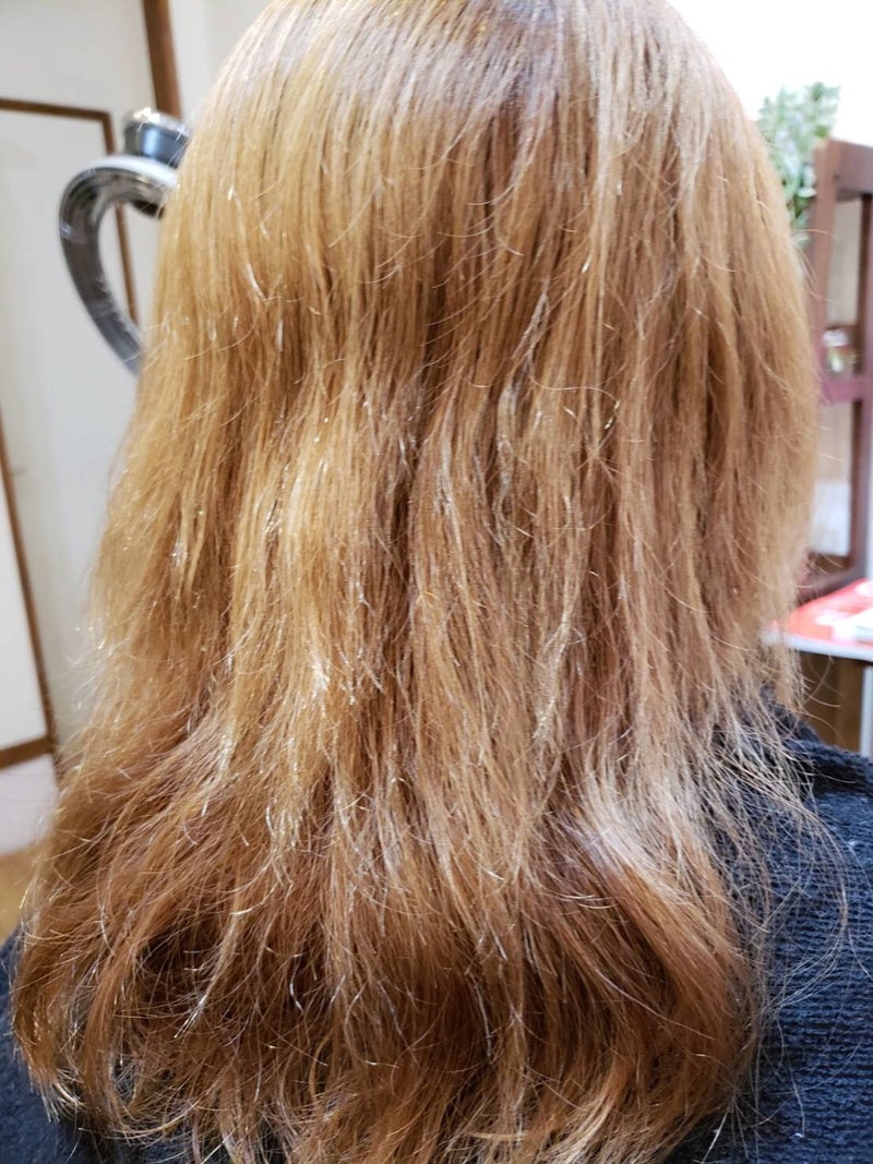 傷みすぎた髪はどうする 大阪羽曳野大人女性のための個室美容室 ヘッドスパ専門店 美と健康のトータルビューティーサロンtack