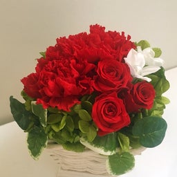 画像 【募集】母の日レッスン の記事より 1つ目