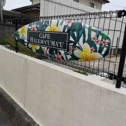 画像 まんのう公園までチューリップを見に行った の記事より 13つ目