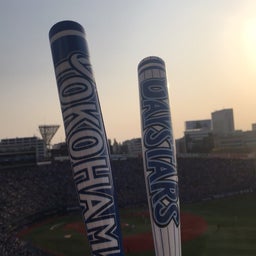 画像 横浜スタジアムのチューリップと野球観戦！ の記事より 10つ目