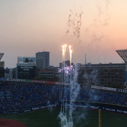 画像 横浜スタジアムのチューリップと野球観戦！ の記事より 13つ目