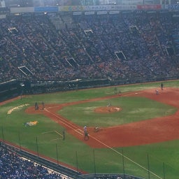 画像 横浜スタジアムのチューリップと野球観戦！ の記事より 8つ目