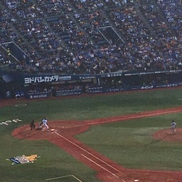 画像 横浜スタジアムのチューリップと野球観戦！ の記事より 9つ目