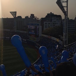 画像 横浜スタジアムのチューリップと野球観戦！ の記事より 11つ目