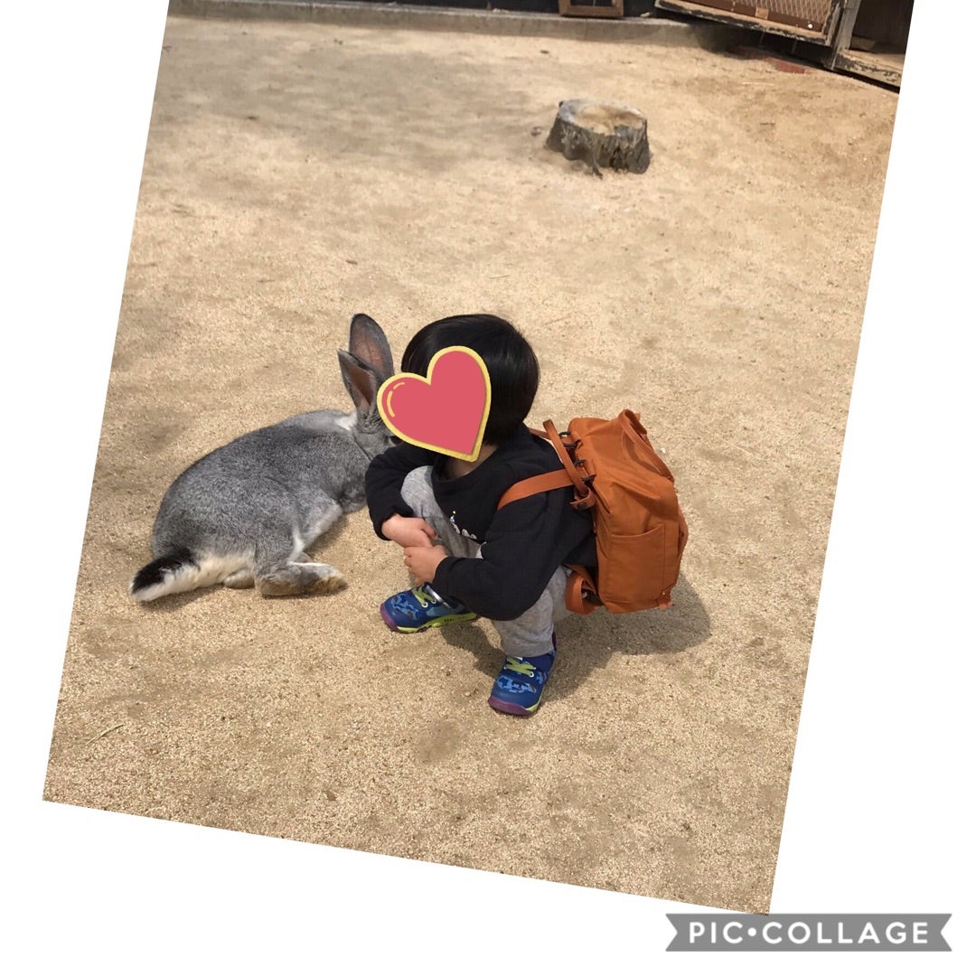 淡路島の記事より