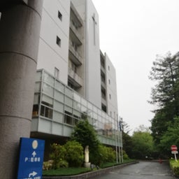 画像 おはようございます;(´•௰•`)☂ の記事より 3つ目